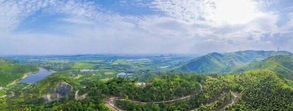 日韩av无码在线播放-日韩AV无码内容观看指南与网络伦理考量